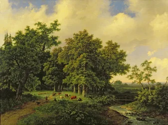 Landscape
